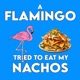 A Flamingo Tried To Eat My Nachos Single