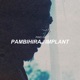 Pambihira Implant Single