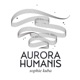 Sophie Kuba Aurora Humanis Quartet for Piano Flute Violin and Cello Single