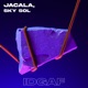 IDGAF feat Sky Sol Single