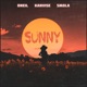 Sunny Single