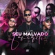 Seu Malvado Favorito Single
