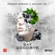 Say Goodbye Single