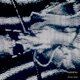 1017 Rollins Single