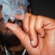 ROLL SOMN Single
