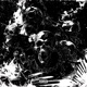 Miseria Single