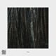 Cedar Single