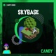 Skybase Single