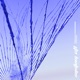 Parallel Processing Single