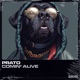 Comin Alive Single