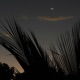 Summer Nights EP