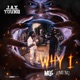Why I feat Jimi Nu Single