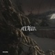 Archive Single