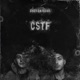 CSTF Single