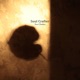 Soul Crafter Single