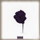 Forever feat Lil Reed Single