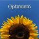 Optimism Single