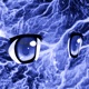 Blue Eyes Patch Single