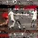 Zagallo Single
