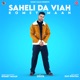 Saheli Da Viah feat Sulfa Single