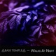 Walks at Night Single