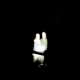 Misunderstandings Assumptions Single