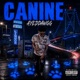 CANINE