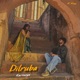 Dilruba Single