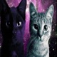 Alien Milk Single