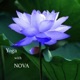 Yoga Session I Single