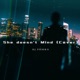 She Doesn t Mind Cover Single