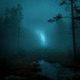 foggy marshes Single