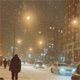 winter of the night Single