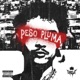 Peso Pluma Single