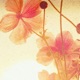bunte farben Single