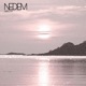 Nedem Single