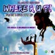 WHERE ARE YOU feat AYVE Single