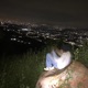 En el olvido Single