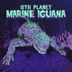 Marine Iguana Single