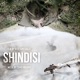 Shindisi Original Motion Picture Soundtrack