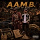 A A M B All About My Bucks feat P Nice Single