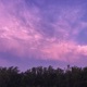 Lilac Single