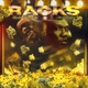 RACKS feat BLOODRAW Single