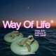Way of Life feat LeyeT Single