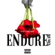 Endure feat Ron Obasi Remix Single