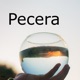 Pecera Single