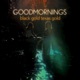 Black Gold Texas Gold 1 feat Dana Gumbiner Neal Morgan Amee Chapman