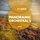 Panoramic Orchestral 3