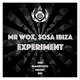 Experiment Single