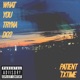 What You Tryna Do feat Patient Single